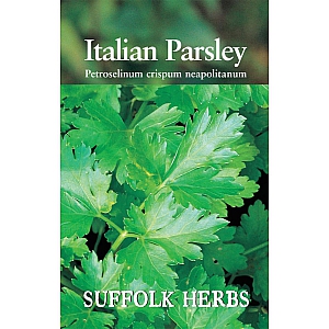 Parsley - Italian