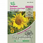view Sunflower Giant Single details