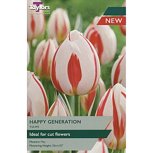 Happy Generation Tulips