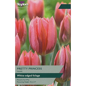 Pretty Princess Tulips