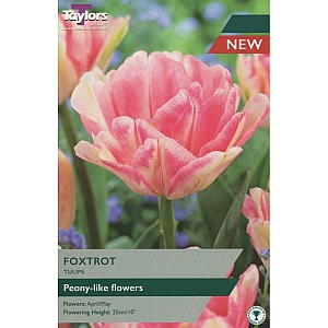 Foxtrot Tulips