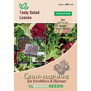 Tasty Salad Leaves Collection