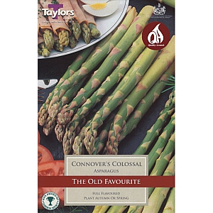 Connover`s Colossal Asparagus