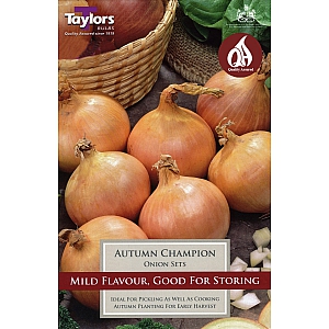 Autumn Champion Onion Sets