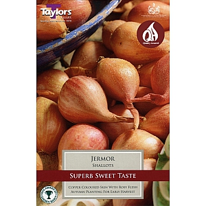 Jermor Shallots