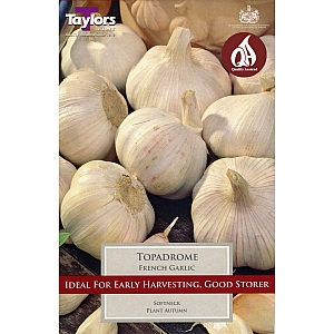 Topadrome Garlic