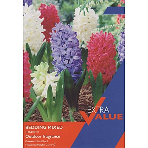 Hyacinth Bedding Mix