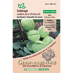 Cabbage Golden Acre (Primo II)