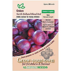 Onion North Holland Blood Red