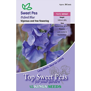Oxford Blue Sweet Pea