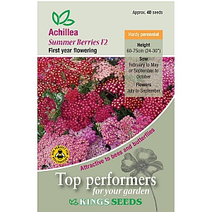 Achillea Summer Berries F2