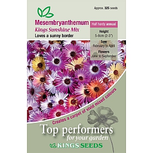 Mesembryanthemum Kings Sunshine Mix