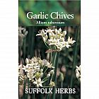 view Garlic Chives details