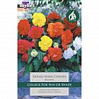 view Begonia Double Mix Corms details