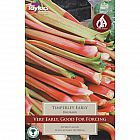 Timperely Early Rhubarb